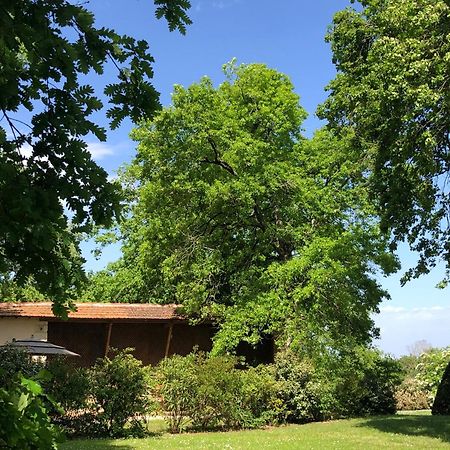 Le Buscagneau Villa Beraut ภายนอก รูปภาพ
