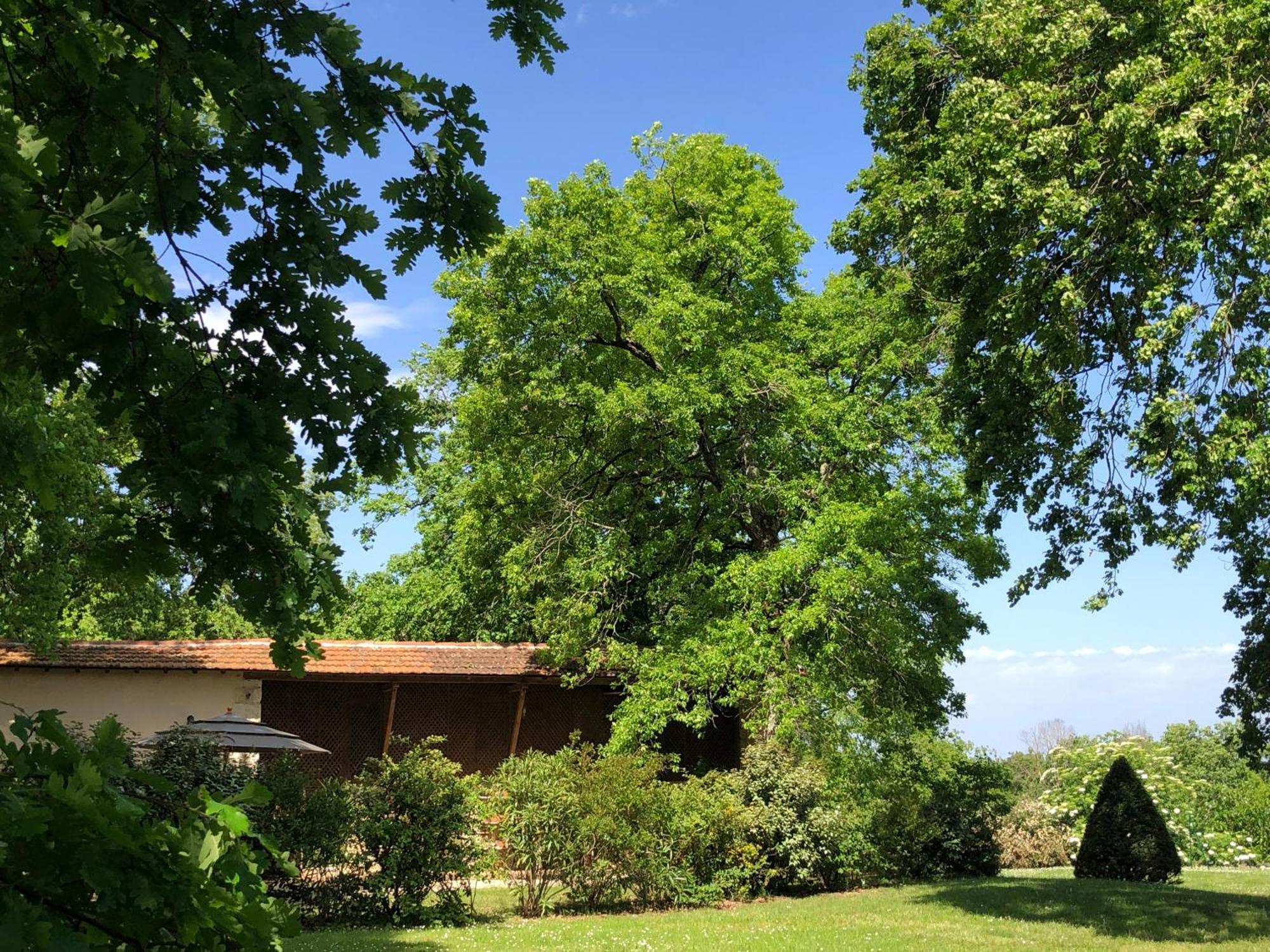 Le Buscagneau Villa Beraut ภายนอก รูปภาพ
